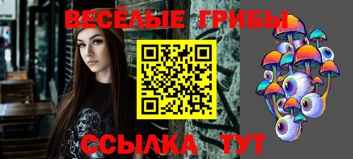 Озёры  Псилоцибиновые грибы мухоморы  Вход с VPN  Псилоцибиновые грибы ЛСД 