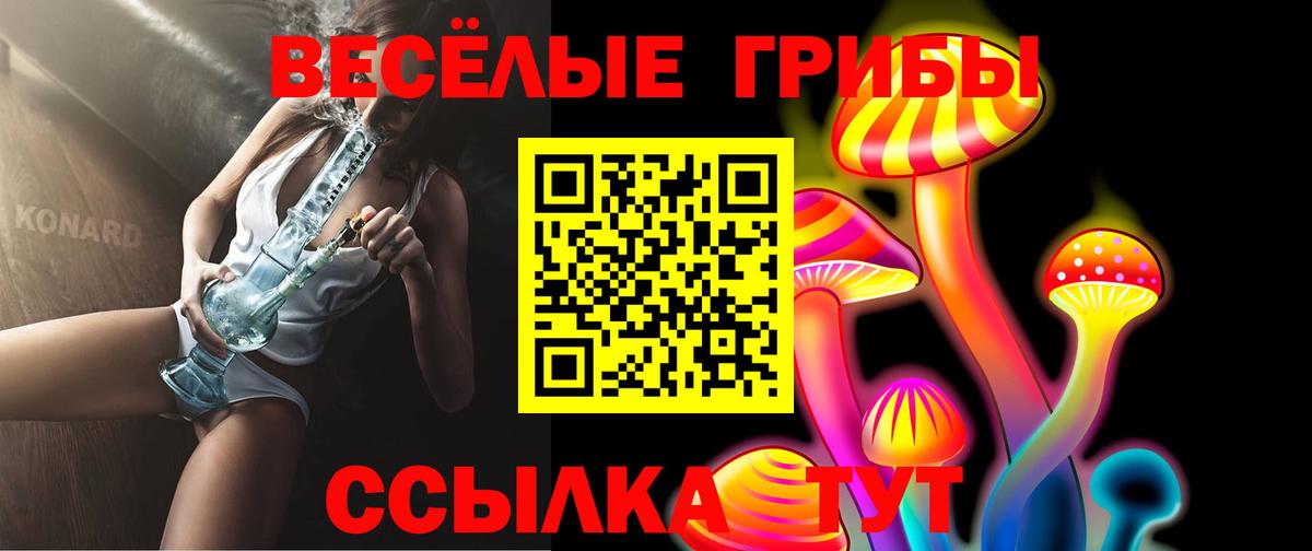 Псилоцибиновые грибы GOLDEN TEACHER Озёры